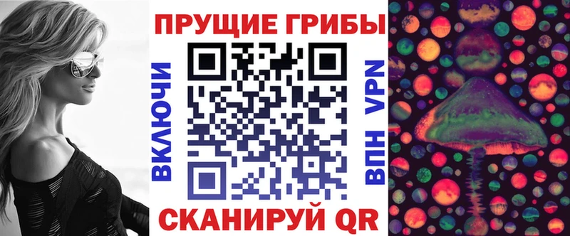купить наркоту  Хабаровск  Галлюциногенные грибы Magic Shrooms 