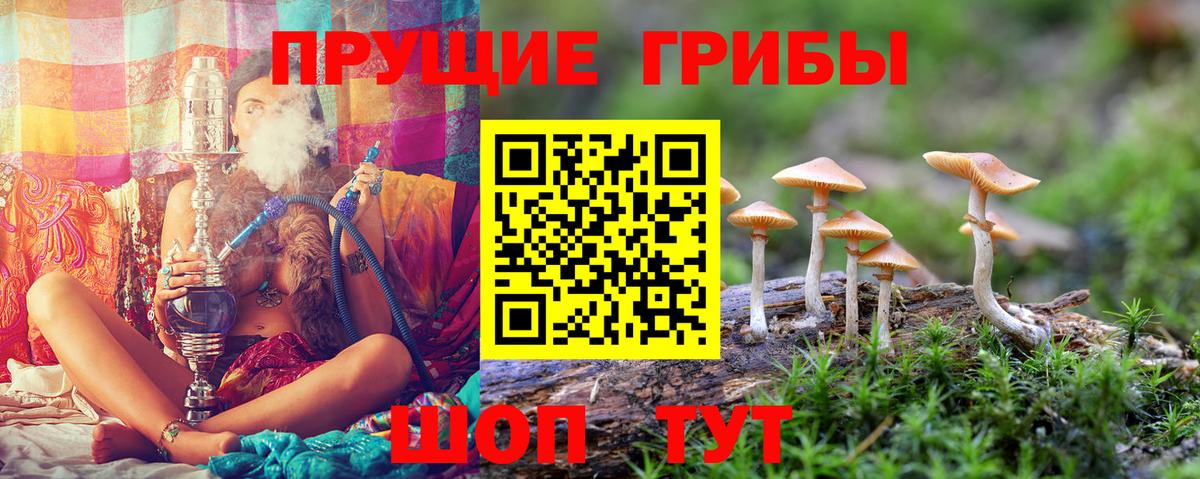 Галлюциногенные грибы мухоморы  Вход с VPN  Псилоцибиновые грибы Psilocybe  Хабаровск 